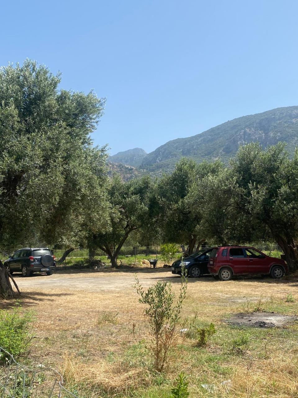 Irini'S Guesthouse Qeparo Eksteriør bilde