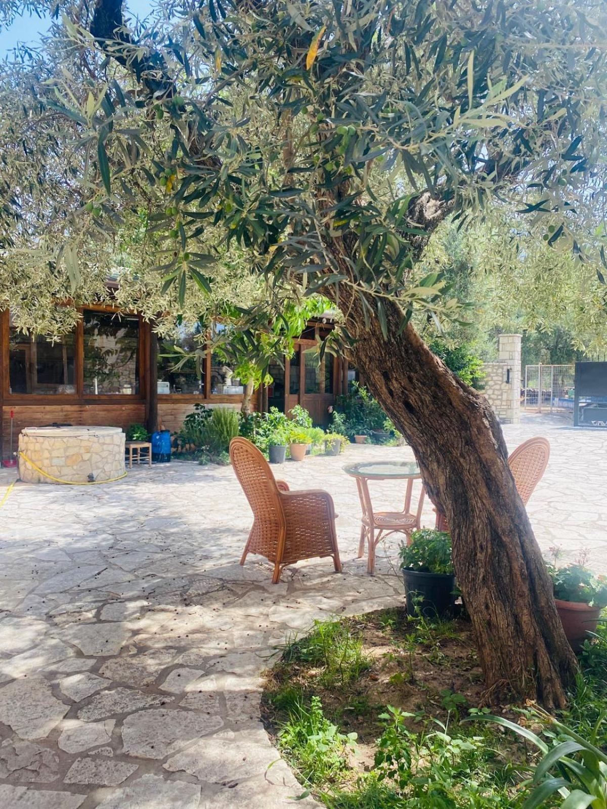 Irini'S Guesthouse Qeparo Eksteriør bilde
